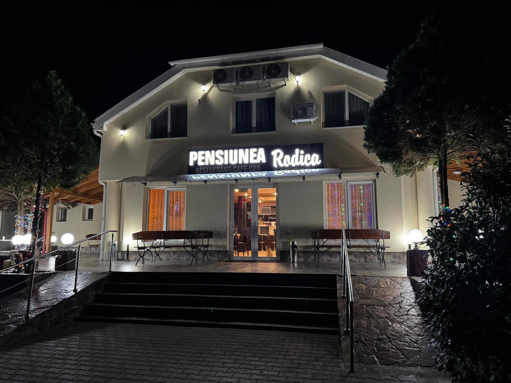 Pensiunea Rodica Nagylak Kültér fotó